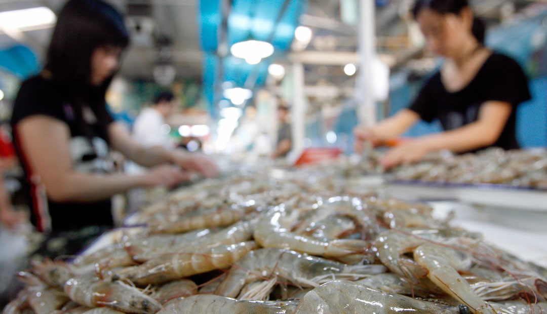 VJS Phytosanitary Service (P) Ltd (Food Testing Laboratory)