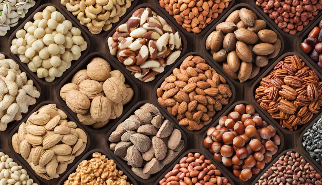 VJS Phytosanitary Service (P) Ltd (Food Testing Laboratory)