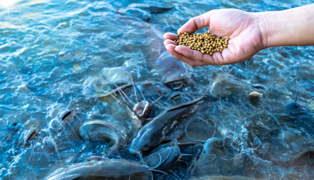 VJS Phytosanitary Service (P) Ltd (Food Testing Laboratory)