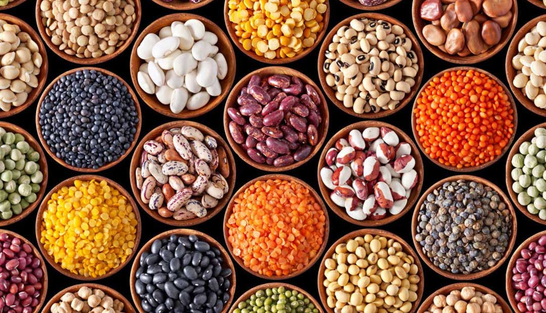 VJS Phytosanitary Service (P) Ltd (Food Testing Laboratory)