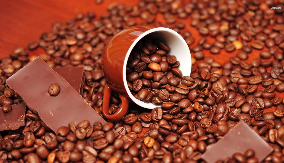 VJS Phytosanitary Service (P) Ltd (Food Testing Laboratory)