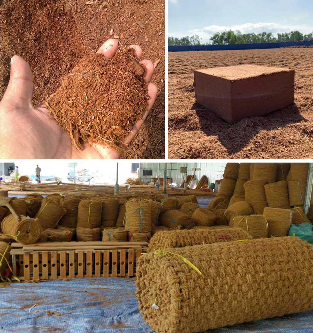 VJS Phytosanitary Service (P) Ltd (Food Testing Laboratory)