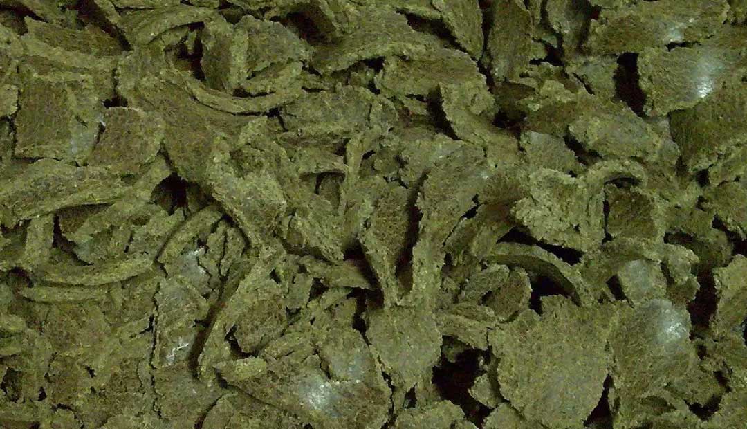 VJS Phytosanitary Service (P) Ltd (Food Testing Laboratory)