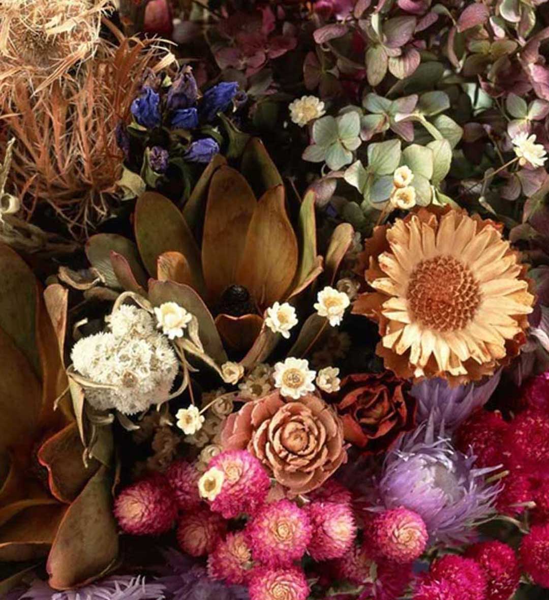 VJS Phytosanitary Service (P) Ltd (Food Testing Laboratory)