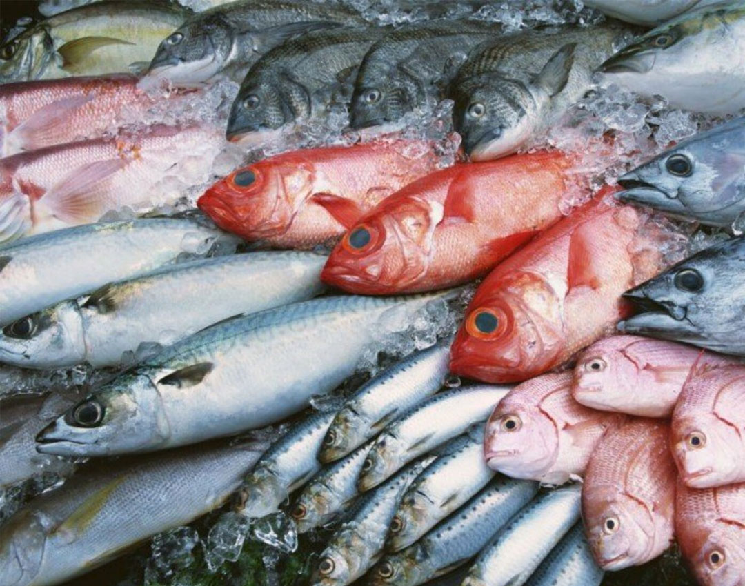 VJS Phytosanitary Service (P) Ltd (Food Testing Laboratory)