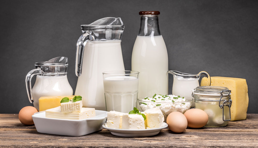 VJS Phytosanitary Service (P) Ltd (Food Testing Laboratory)