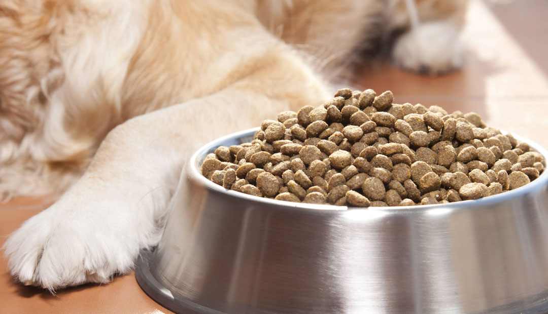 VJS Phytosanitary Service (P) Ltd (Food Testing Laboratory)