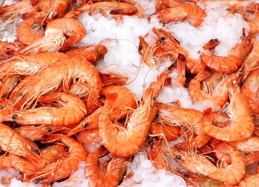 VJS Phytosanitary Service (P) Ltd (Food Testing Laboratory)