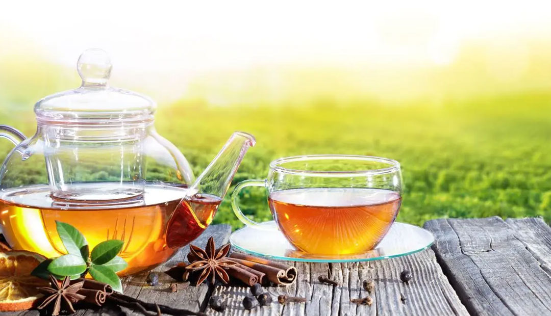 VJS Phytosanitary Service (P) Ltd (Food Testing Laboratory)