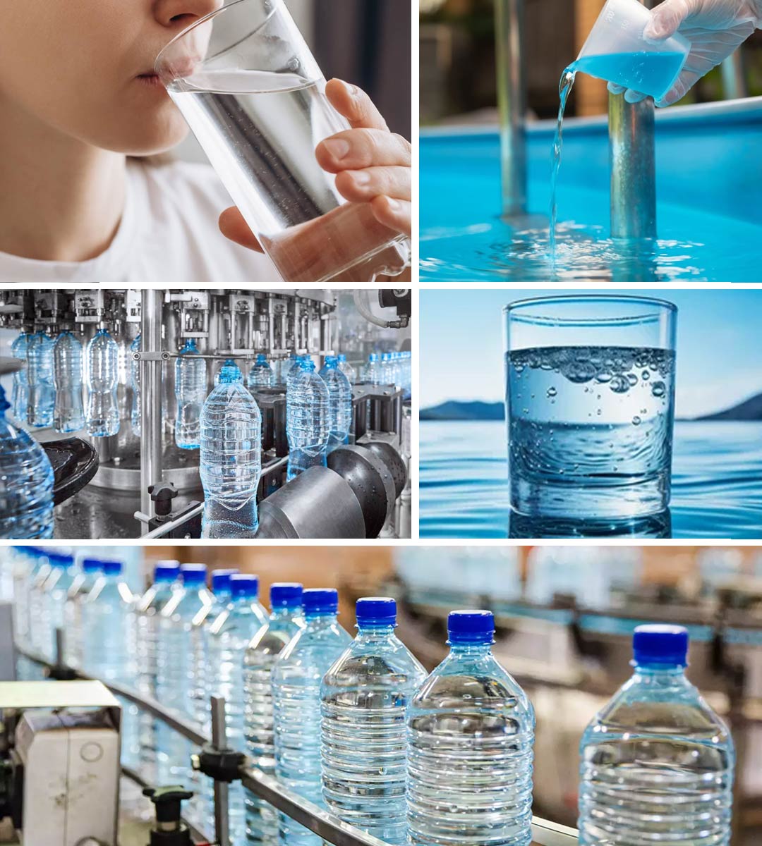 VJS Phytosanitary Service (P) Ltd (Food Testing Laboratory)