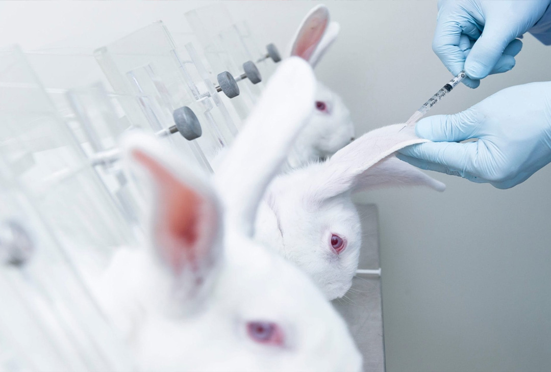 VJS Phytosanitary Service (P) Ltd (Food Testing Laboratory)