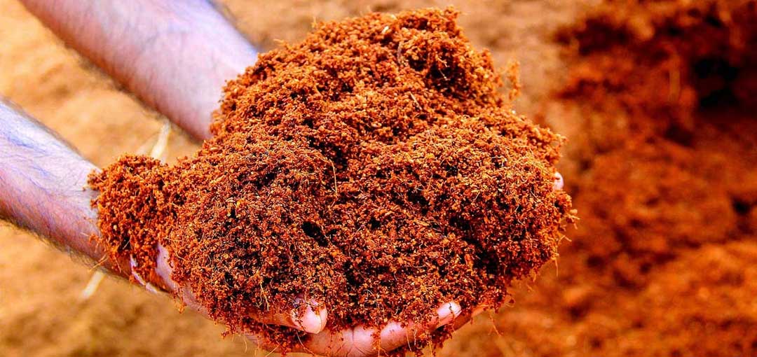 VJS Phytosanitary Service (P) Ltd (Food Testing Laboratory)