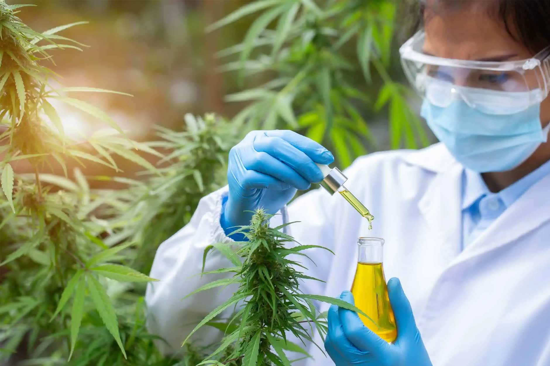 VJS Phytosanitary Service (P) Ltd (Food Testing Laboratory)