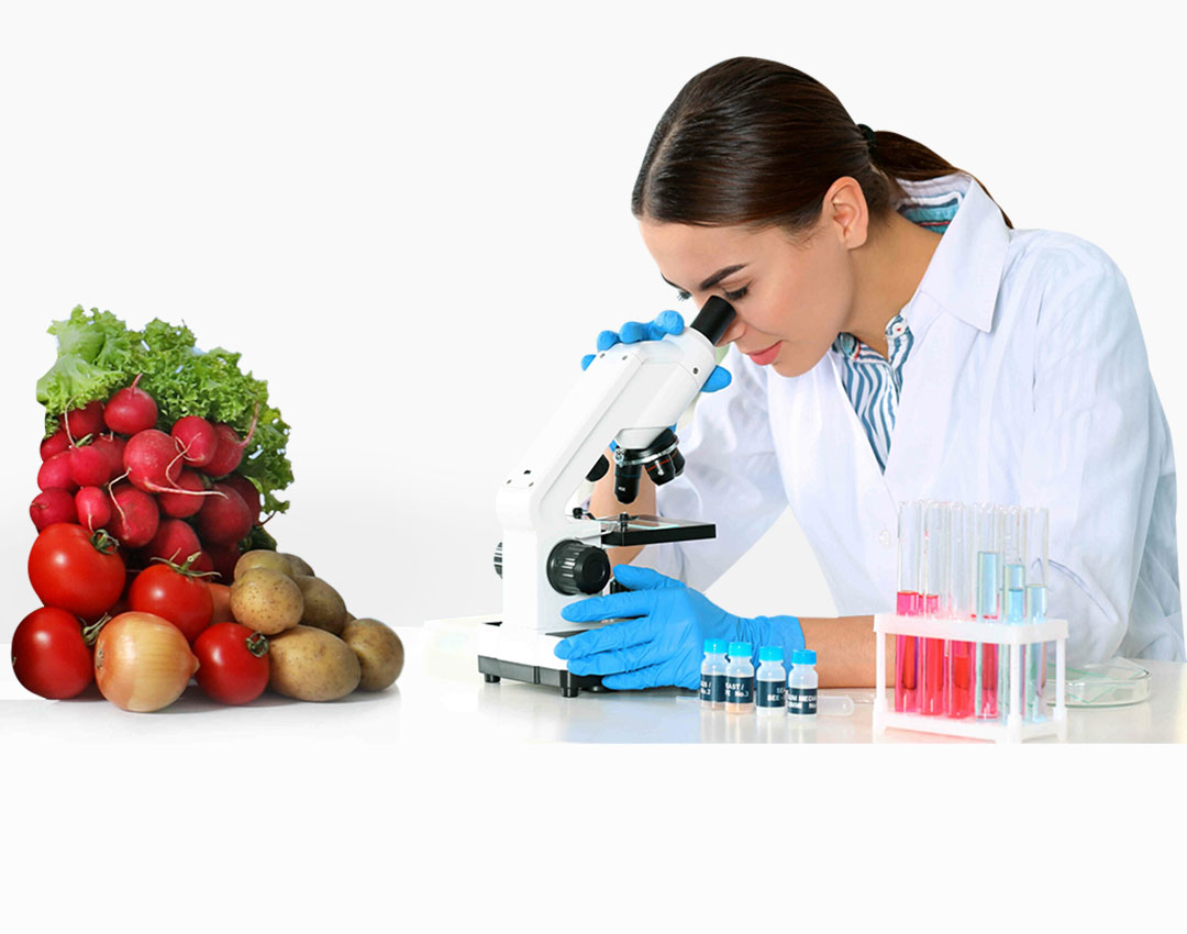 VJS Phytosanitary Service (P) Ltd (Food Testing Laboratory)